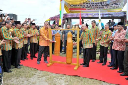 Hanya Mampu Produksi 410 Ton Gabah Pertahun, Riau Tetap Butuh Pasokan Beras Provinsi Lain