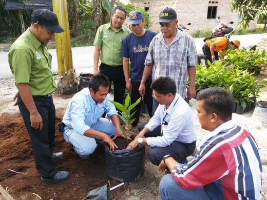 Jambu Air Madu Jadi Penghasilan Tambahan Masyarakat Desa Lalang Kabung
