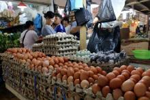 Harga Telur Ayam Merangkak Naik Jelang Akhir Tahun, Rakyat Kian Menjerit