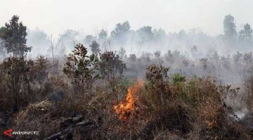 8 Provinsi Termasuk Riau dan Sumut Ditetapkan Status Siaga Darurat Karhutla, Ini Respon Ketua DPR