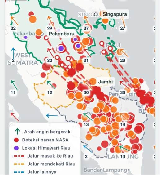 Tindak Tegas Potensi Karhutla, Pasukan Gabungan Verifikasi 313 Hotspot di Riau