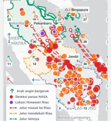Tindak Tegas Potensi Karhutla, Pasukan Gabungan Verifikasi 313 Hotspot di Riau