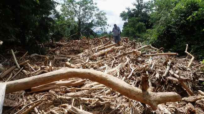 Tragedi Kayu Gelondongan di Lereng Slamet, Satu Warga Purbalingga Tewas