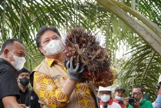 Berkunjung ke Riau, Menko Airlangga Mengaku Terima Aspirasi Perpanjangan Jabatan Jokowi dari Petani Sawit