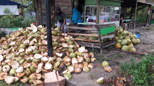 Laku 100 Butir Perhari, Pedagang Es Kelapa Muda di Batang Tuai Berkah Ramadan