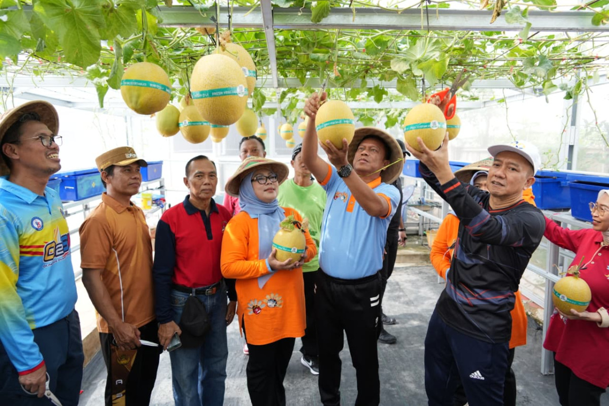 Pemkot Jaktim Dorong Kemandirian Petani Kota Lewat Pembinaan dan Kolaborasi Urban Farming