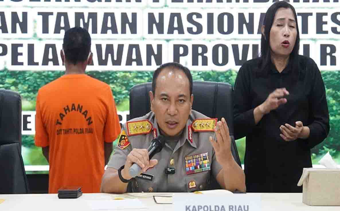 Jual Lahan Konservasi Berkedok Adat, Tokoh di Pelalawan Diciduk Polda Riau