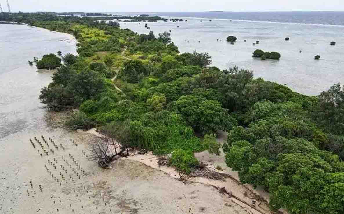 Dari Tambang ke Etalase Digital: Pulau Indonesia Diperjualbelikan, Warga Lokal Merasa Terbuang