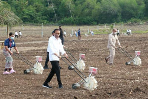 2 Menteri Jokowi Bantah Program Food Estate Gagal, DPR Tuduh Pakai Data Palsu