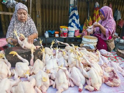 Lebaran Idul Fitri, Harga Ayam Potong di Pekanbaru Naik Rp30 Ribu Per Kilo