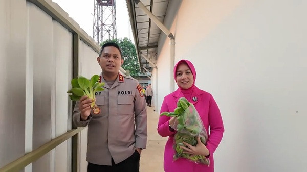 Polres Tangsel Panen Pakcoy dan Lele, AKBP Boy Sebut Hasilnya untuk Bantu Warga
