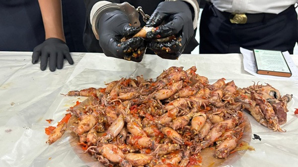 Niat Besuk, Malah Selundupkan Narkoba Oseng Udang ke Lapas