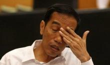 Menterinya Sering Bicara Ngasal soal Covid-19, Jokowi Ngaku Kesal