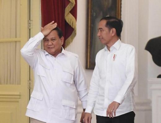 Jokowi Suruh Tanam Singkong, Prabowo Ini Menhan Apa Mentan Sih?