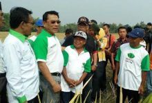 Ini Misi HKTI Mengatasi 5 Persoalan Petani dan Pertanian Indonesia