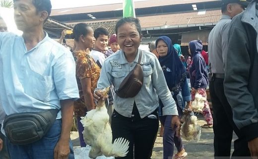 Rugi Miliaran Rupiah, Peternak di Semarang Juga Ikut Aksi Protes Bagi-bagi Ayam Gratis
