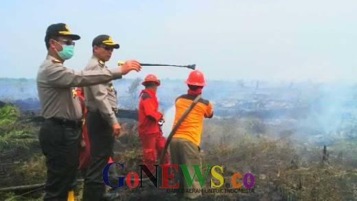 Polda Riau Endus Dua Perusahaan di Rohul Lakukan Pembakaran Lahan