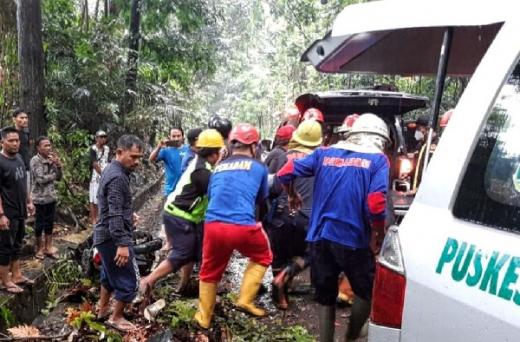 Tertimpa Pohon Tumbang Saat Boncengan Motor, 2 Wanita Sukabumi Tewas
