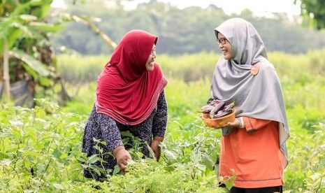 Sehatkan Desa, Rumah Zakat Bentuk Program Kebun Gizi