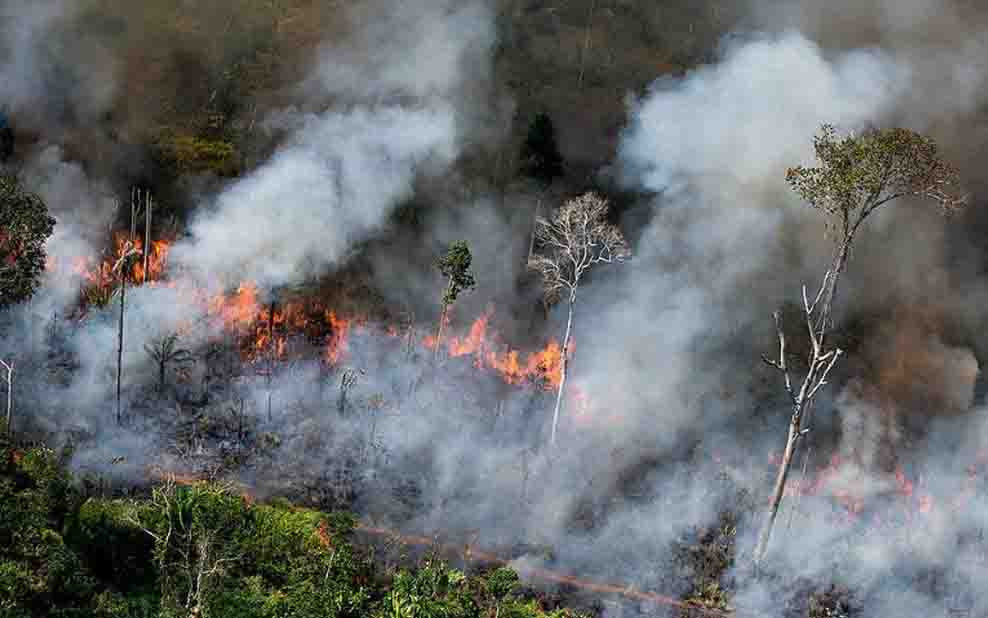 Benahi Tata Kelola Hutan, DPR Sepakati RUU Kehutanan