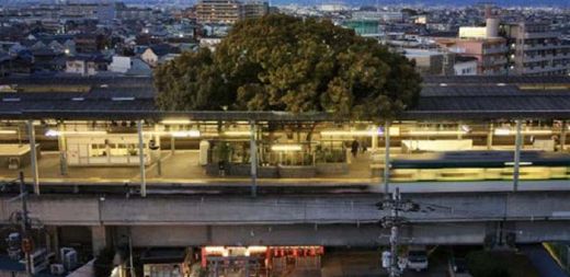 Tak Bisa Ditebang, Pohon Berusia 7 Abad Dibiarkan Tumbuh di Tengah Stasiun Kereta