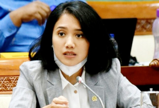 Puteri Komarudin Minta Perbankan Perkuat Perlindungan Data Nasabah