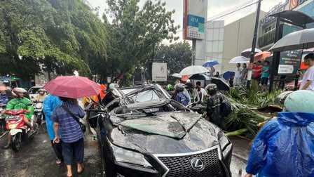 Cuaca Ekstrem Renggut Nyawa Eks Direktur Danareksa, Pohon Palem Tumbang Tepat di Atas Mobilnya