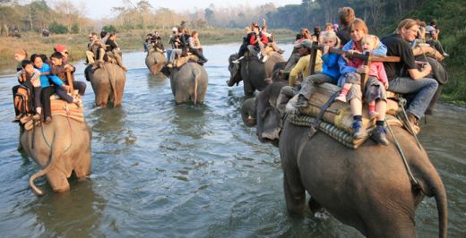 Jelang Tahun Baru, Ratusan Gajah Ambil Cuti dan Berpiknik di Nepal