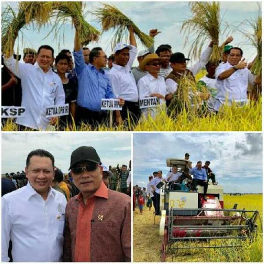 Semangati Para Petani di Banyuasin, Ketua DPR: Semoga Impor Beras Tak Berlanjut
