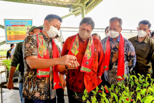 Kunjungi APRIL Pelalawan, Menko Airlangga: Reforestrasi Dorong Akselerasi Pertumbuhan Green Economy