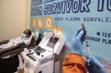 PMI Akan Investigasi Penipuan Modus Donor Plasma Konvalesen
