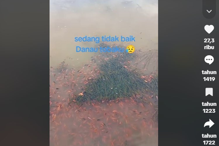 Misteri Air Keruh dan Ikan Mati di Danau Toba, BRIN Ungkap Ancaman dari Dasar Danau