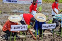 PPKTrans Kementerian Desa PDTT Dampingi Komisi V Sapa Transmigran di Bulungan