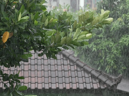 ‎Cuaca Sabtu: Berawan pada Pagi, Potensi Hujan Hadir di Banyak Titik