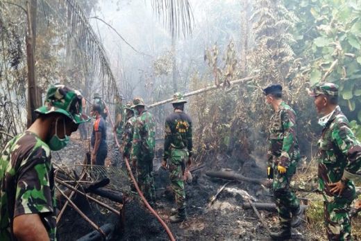 5.929 Ribu Personel Gabungan Padamkan Karhutla di 5 Provinsi Termasuk Riau