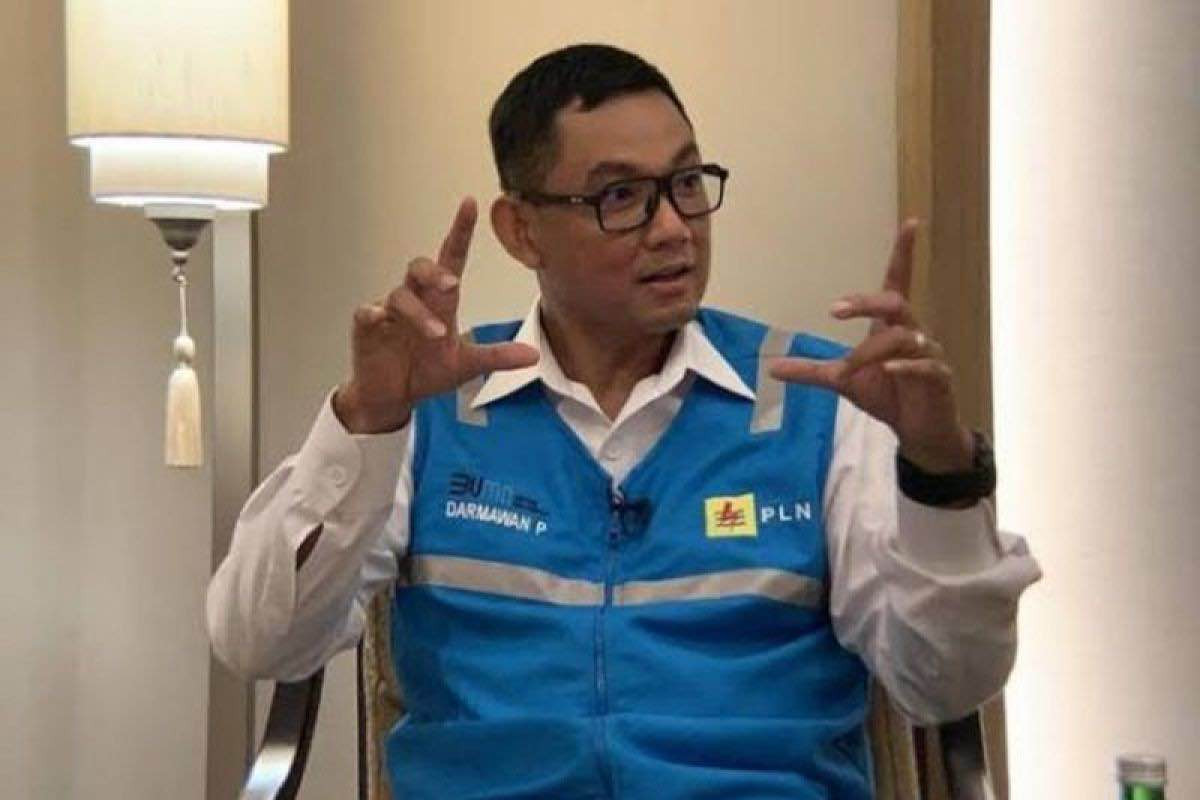 Monopoli Listrik Tak Jamin Untung, PLN Dianggap Gagal Dikelola