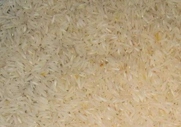 Penetapan Satu Jenis Beras Premium Bisa Rugikan Petani dan Tekan Konsumen