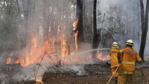 Kebakaran Lahan dan Hutan, DPR: Percuma Para Pelaku Pembakar Ditangkap Kalau Ujungnya SP3, Penegakan Hukum Masih Memble