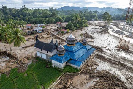 Mengapa Pemerintah Tak Tergesa Tetapkan Darurat Nasional? Pakar Ungkap Alurnya