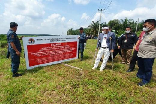 Jalan Pakai Tongkat, Kang Dedi Mulyadi Pimpin Penyegelan Lahan Sawit Ilegal di Riau