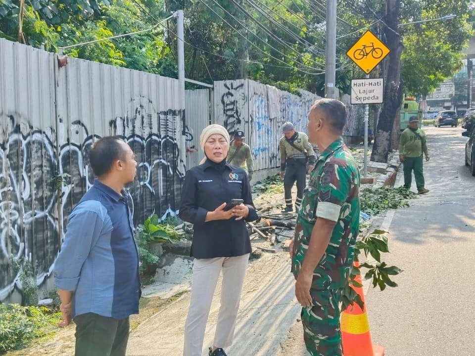 Legislator Komisi D Cek Langsung Penanganan Pohon Rawan Tumbang di Jaksel